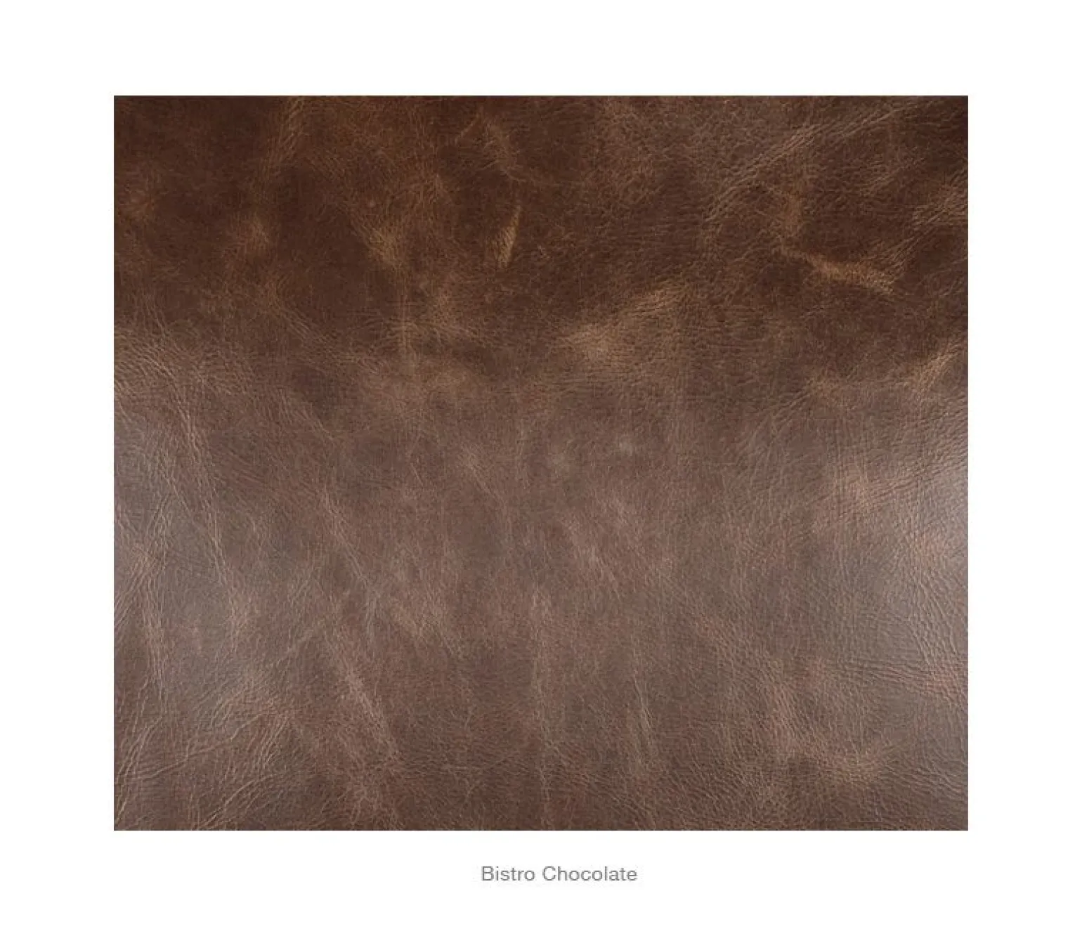 Boudreau Leather Chair - Bistro Chocolate