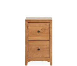 Cartwright 2-Drawer File