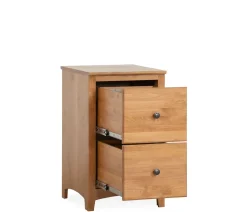 Cartwright 2-Drawer File
