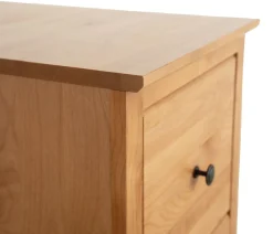 Cartwright 2-Drawer File