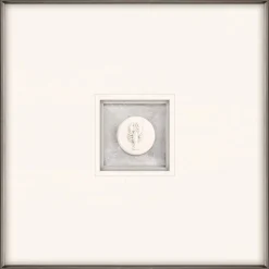 Lobster Intaglio