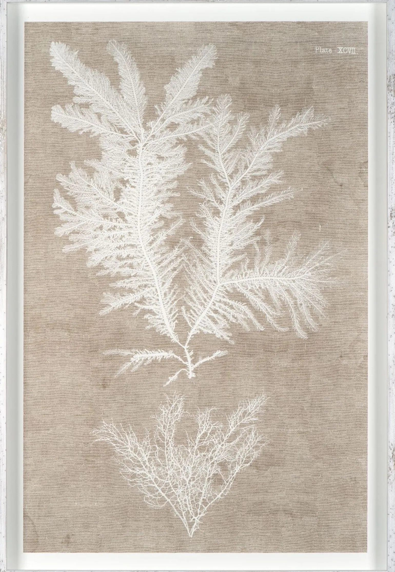 Nature IV