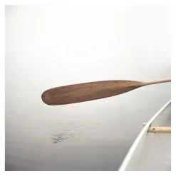Paddle - Medium