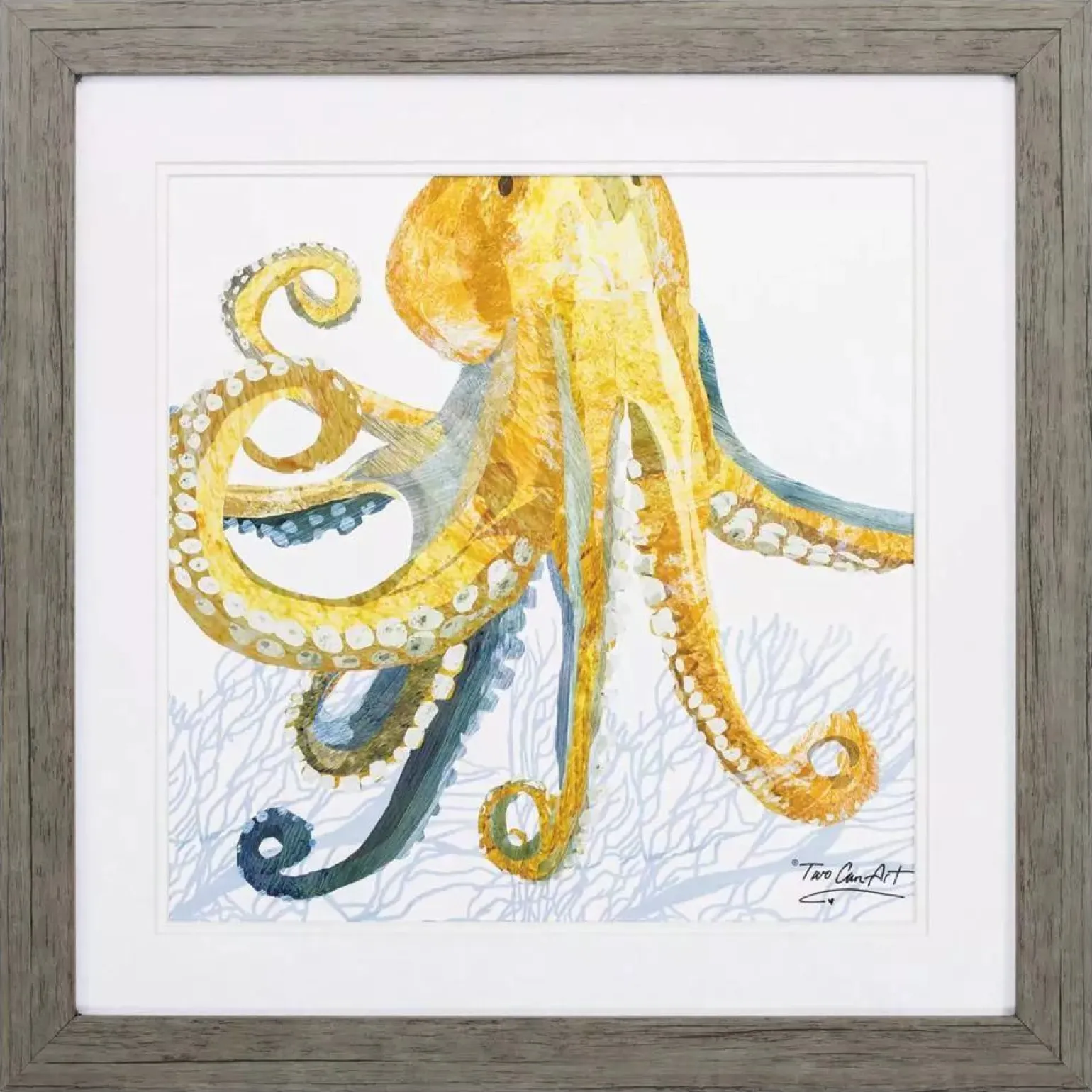 Sea Octopus