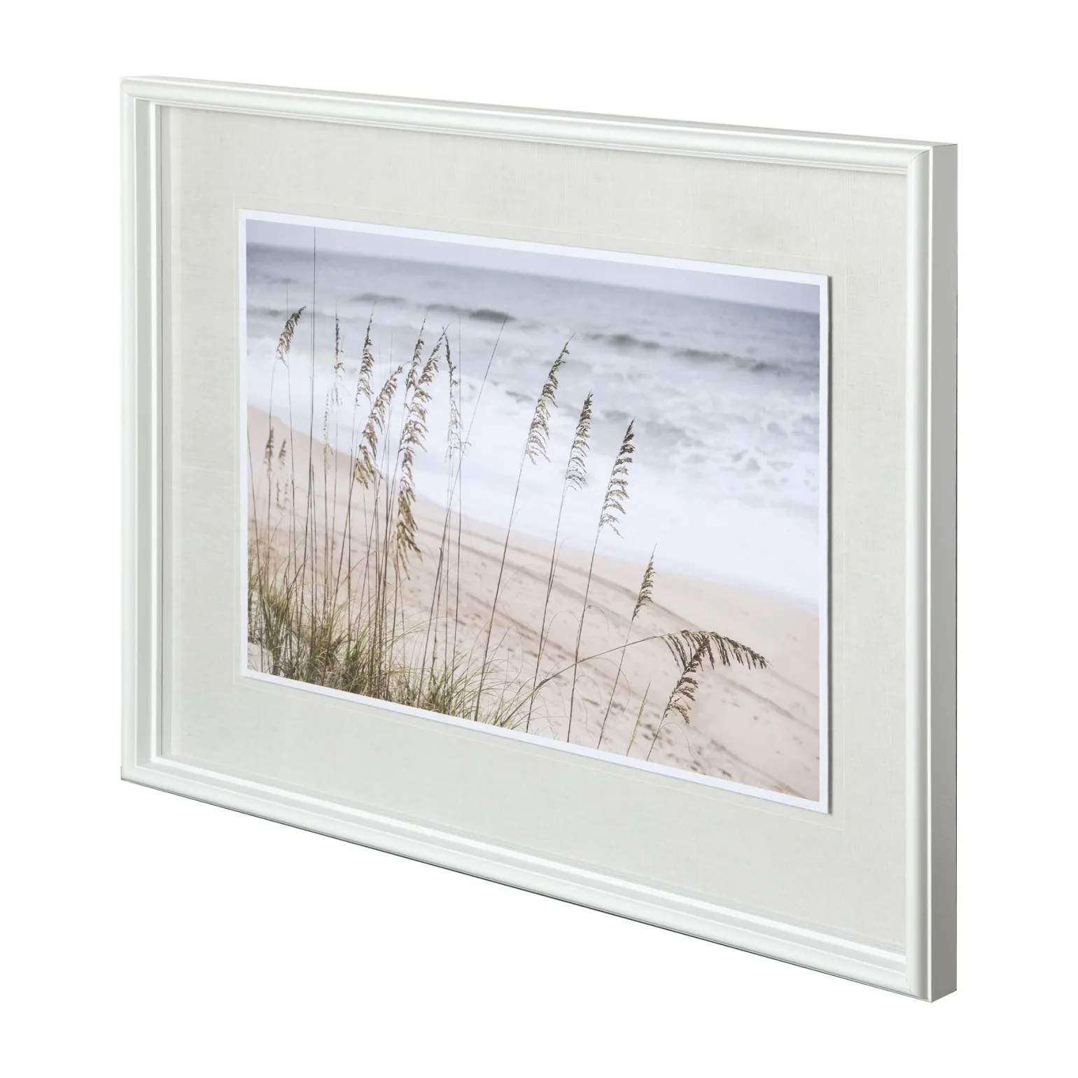 Silver Seagrass